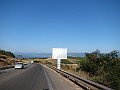 IMG_0319