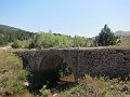 IMG_0365