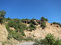 IMG_0402