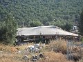 IMG_0444
