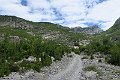 IMG_0237_Nikc