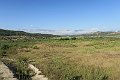IMG_0325_Mërkurth