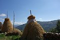 DSC04421