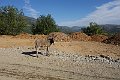 DSC04481