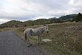 DSC04595