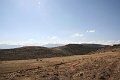 IMG_5007