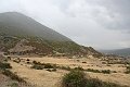 IMG_5255