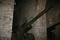 IMG_5597
