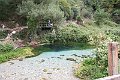 IMG_5706