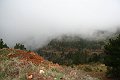 IMG_6054