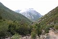 IMG_6080