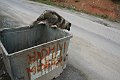 IMG_6209