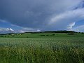 IMG_0173