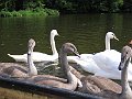 IMG_2522