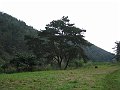 IMG_2581