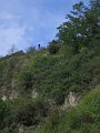 IMG_2609