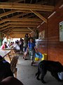 IMG_2649