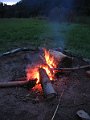 IMG_5406