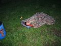 IMG_5420