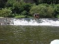 IMG_4920