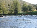 IMG_8705