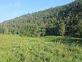 IMG_4384