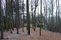 DSC01593