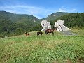 016_Sutjeska