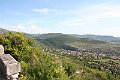 IMG_2959