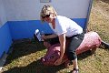 DSC04213