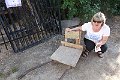 DSC04236
