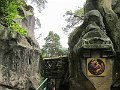 IMG_2252