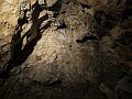 IMG_2291