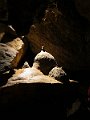 IMG_2328