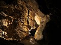 IMG_2332