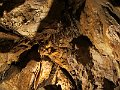 IMG_2339