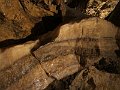 IMG_2342