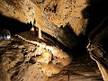 IMG_2348