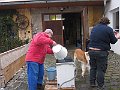IMG_1381
