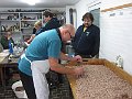 IMG_1390