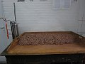 IMG_1394
