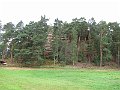 IMG_2705