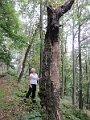 IMG_2712
