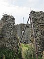 IMG_2729