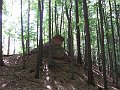 IMG_2761