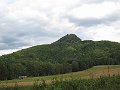 IMG_2778