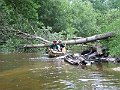 IMG_5118