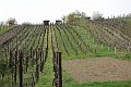 DSC01905
