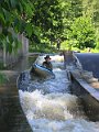 IMG_0131
