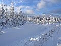 IMG_0028